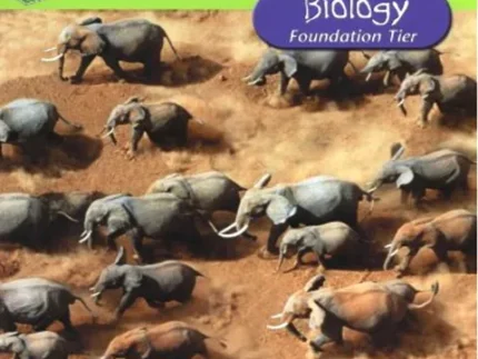 Biology Foundation Tier