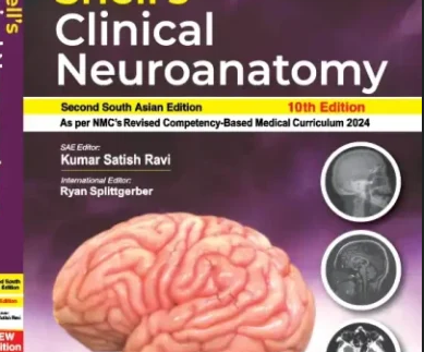 Snell Clinical Neuroanatomy 10th Edition