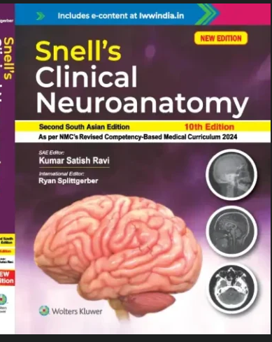 Screenshot 2026-08-03 073758 Snell Clinical Neuroanatomy 10th Edition - Image 1